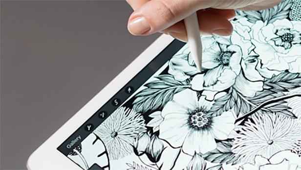 iPad Pro 2쵽 䳬խ߿Ļ
